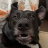 maddy