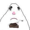 tiffunny.com