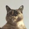 1224444223467776545678l