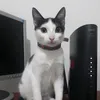 margaretepereira22