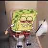 plankton.stan.account