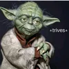 lasseyee