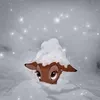 winterchillgirly