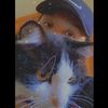 susydlp