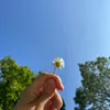 lisou_0710