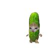 jhoensprite