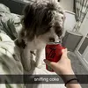 guinnxss_3lla101
