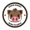 Dzikie Knury