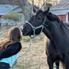 sanna_lindgren