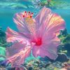 seaurchinhugger