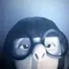 walcujrybe_