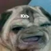 kitsfd