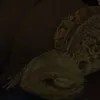 userso7yi5tvch