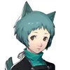 dannythecatty