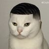 alexthibodeaux