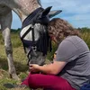 mysticheartandhorse
