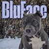 dwayne_jones.mpbk