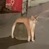 duds.exe