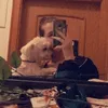 daria_brns