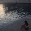 pao_alfa88