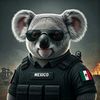 msotelo09