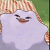 chadlifornia