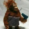 cicualma0