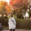 l_araa02