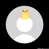 bylecoo11