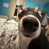 kalea.richwine