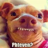 stevenstaples1