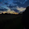 _lilyyxxx