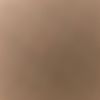 holly_1811