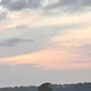 forrestrobz_