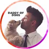 daddyofdogs