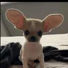 martinf007