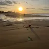 alex_mis26