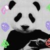 panda96091