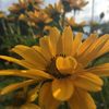 usersmv01