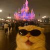 lilyfeinberg
