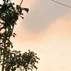 ayyangiie