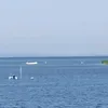 marcinzukowski.37