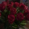 lieke.hbx