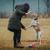 allthingsdog1