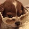 bbianca23_