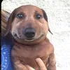 karkkainenaino