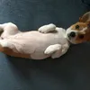 lucia_jajaja10
