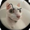 sadcatt1