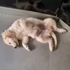 pablooo_og