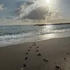 lillinaverdina